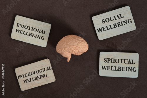 Holistic Wellbeing Concept with Brain Model and Four Dimensions of Mental Health