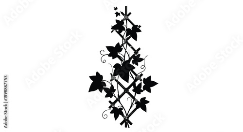 Ivy climbing on a wooden trellis creates a vertical garden design for home landscapes.