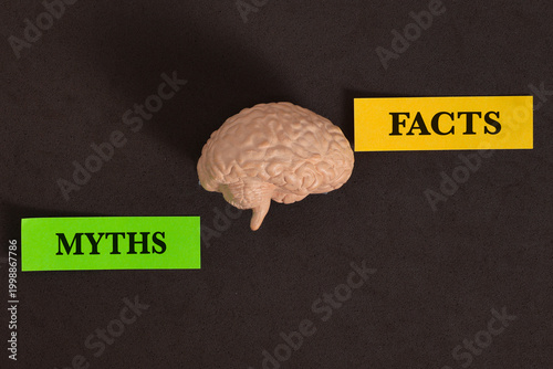 Mind vs Myth: Navigating the Reality of Brain Health