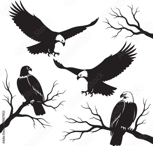 Black eagle silhouettes, bald eagle icons, bird illustrations, wildlife graphics, 4 vector eagles