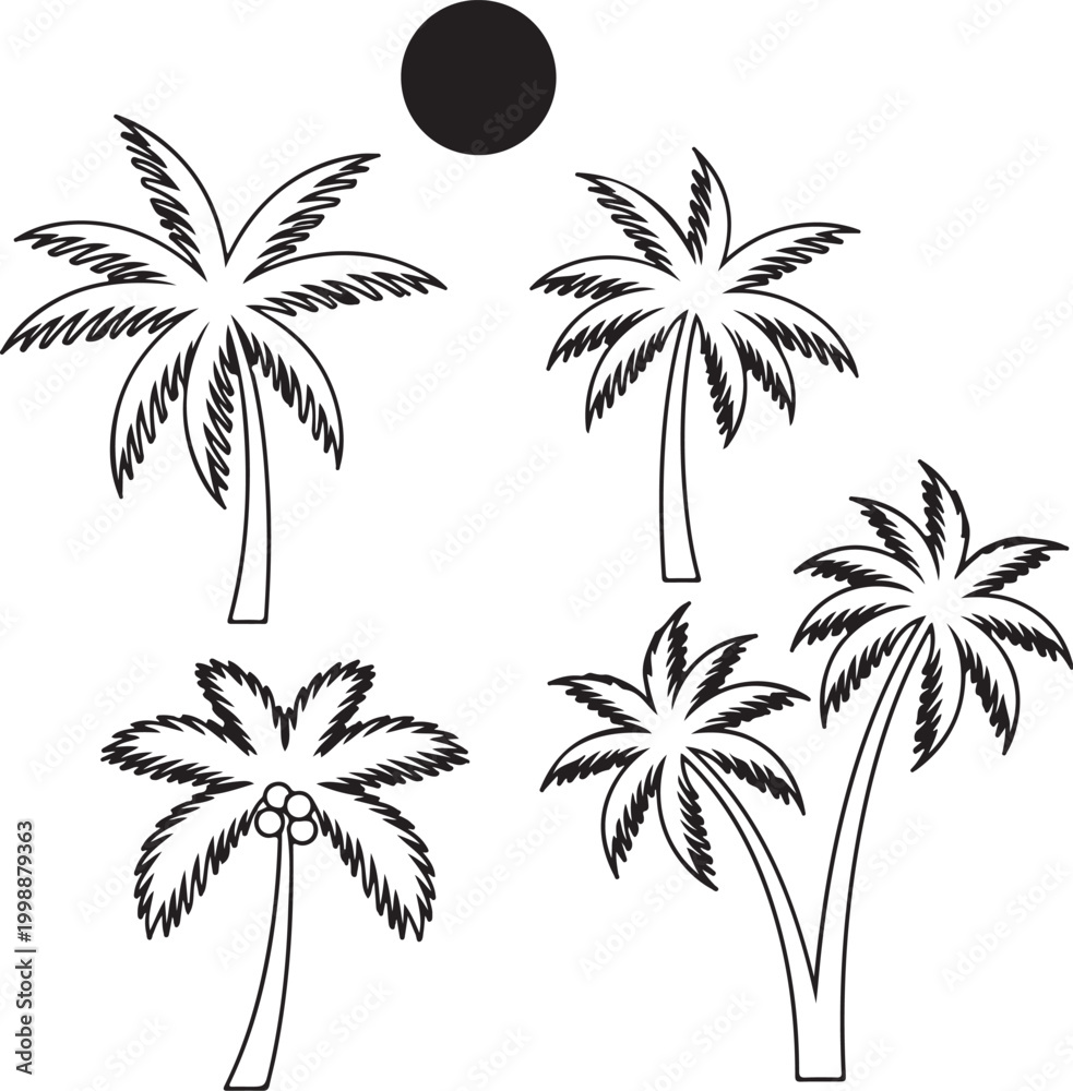 Fototapeta premium Black and white palm trees, tropical icons, line art illustrations, palm tree set, 5 palms