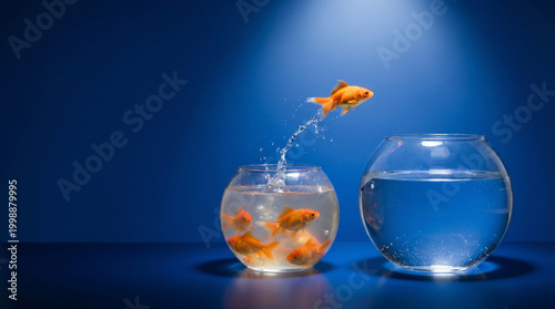 Goldfish leaping from small crowded bowl into large empty bowl on cobalt blue, growth opportunity ambition career change business expansion concept