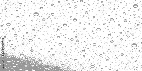 A mesmerizing pattern of water droplets on a surface, reflecting light and creating a sense of freshness and purity.