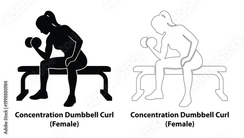 Female Black Silhouette and Outline Set Performing Seated Concentration Dumbbell Curls on Gym Bench for Bicep Definition and Strength Training