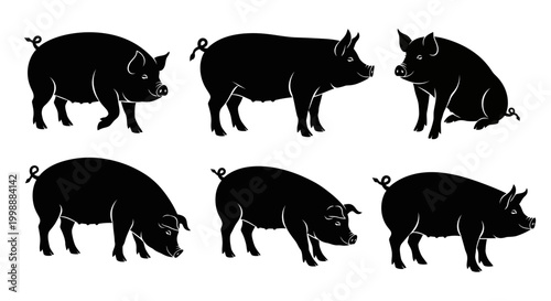 Pig silhouettes set, farm animal collection, black hog icons, domestic swine vector illustration