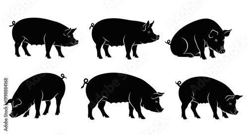 Set of Black Silhouettes of Pigs in Various Poses