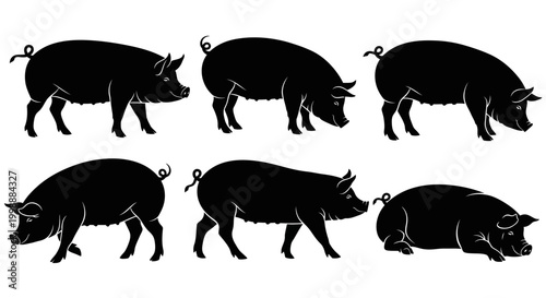 Set of Black Pig Silhouettes in Various Poses