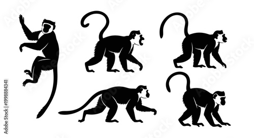Set of Monkey Silhouettes in Various Poses