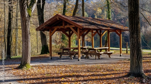 A rustic wooden picnic shelter nestled within a forested area, surrounded by leafless trees, showcasing a serene autumn scene with fallen leaves on the ground.  