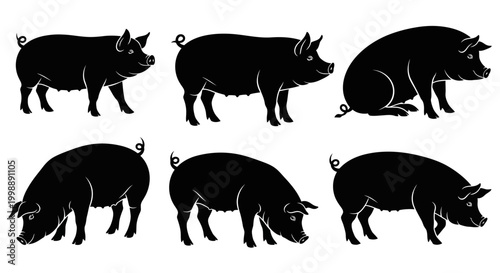 Six black pig silhouettes in various poses on a white background, farm animal vector set