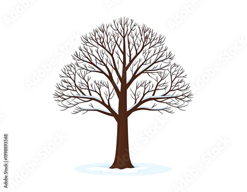 Solitary winter tree with bare branches on a snowy ground illustration