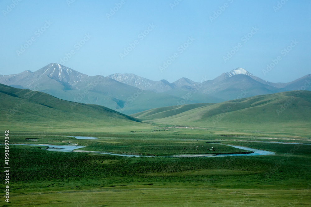 Fototapeta premium Bayanbulak Grassland in Xinjiang Uygur Autonomous Region