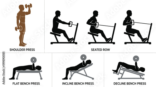 Gym Exercise Guide Silhouettes Showing Shoulder Press Seated Row and Bench Press Variations Vector