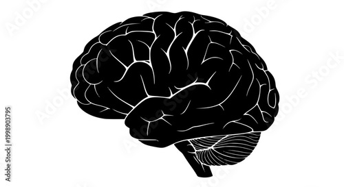 Human brain silhouette illustration side view isolated on white background