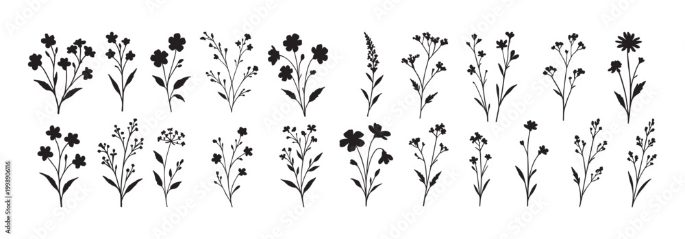 Obraz premium Set of wild flower and branch silhouettes. Black botanical elements isolated on white background
