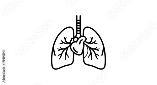 Human Heart and Lungs Icon: Respiratory and Circulatory System Health