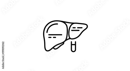 Human Liver Icon Outline Vector Illustration, Medical Organ Symbol