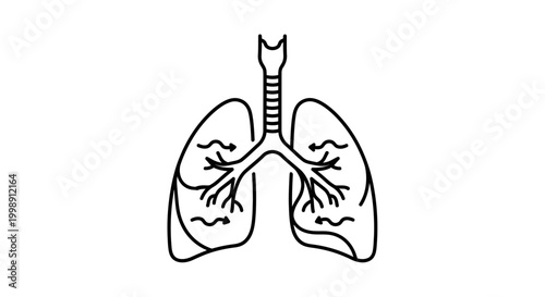 Human Lungs Anatomy Outline Icon Vector Illustration