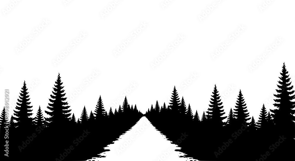Fototapeta premium Black and White Silhouette of a Road Through a Pine Forest
