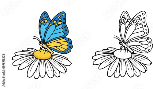 Cartoon butterfly on a chamomile flower set with colored and black and white outline coloring book page for children vector illustration