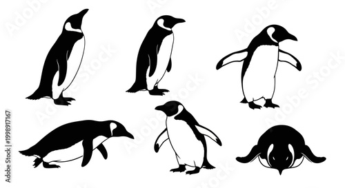 Penguin silhouettes in various poses on white ? minimalist wildlife art