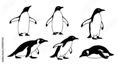 Set of Penguin Silhouettes in Various Poses, Vector Illustration