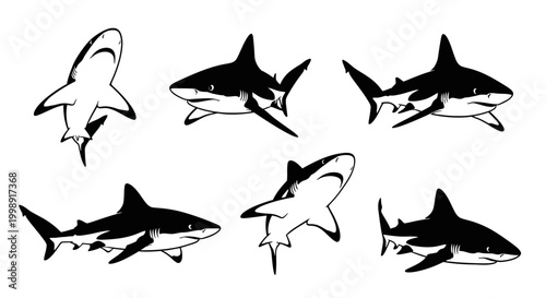 Set of Hand Drawn Shark Silhouettes in Various Swimming Poses