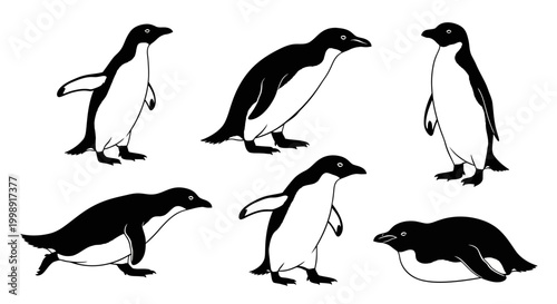 Set of Penguin Silhouettes in Various Poses ? Wildlife Illustration
