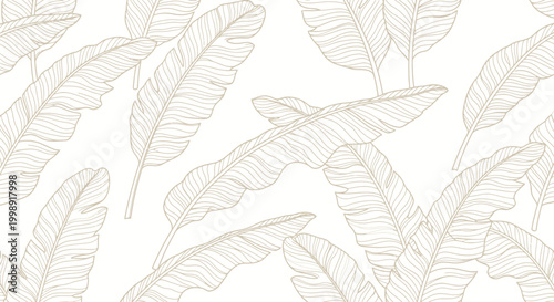 Collection of large feather leaves.