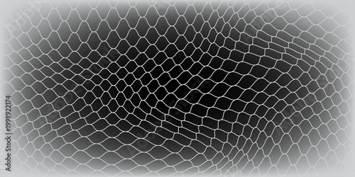 Fishing or soccer net. Repeated hexagon pattern. Black wired mesh texture isolated on white background
