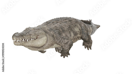 Fotografía 3d rendering nile crocodile swimming