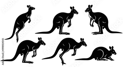 Set of Kangaroo Silhouettes in Various Poses
