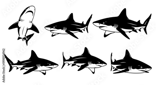 Set of Shark Silhouettes in Various Poses Vector Illustration