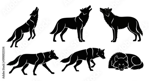 Set of Wolf Silhouettes in Various Poses and Actions