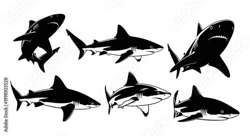 Set of Shark Silhouettes in Various Poses on White Background