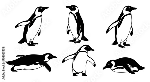 Set of Emperor Penguin Silhouettes in Various Poses ? Wildlife Design