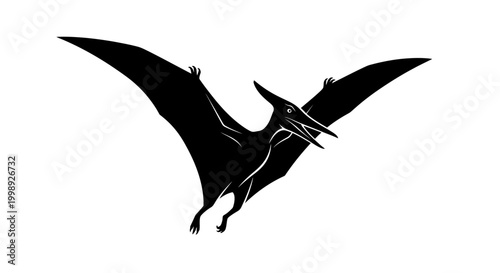 Black Pterodactyl Flying Silhouette.