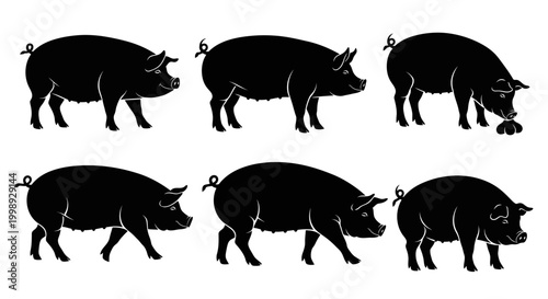 Set of Pig Silhouettes in Various Poses