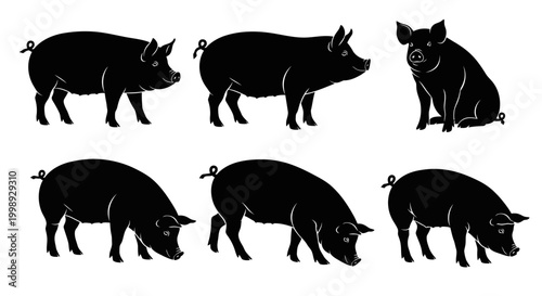 Set of Pig Silhouettes in Various Poses