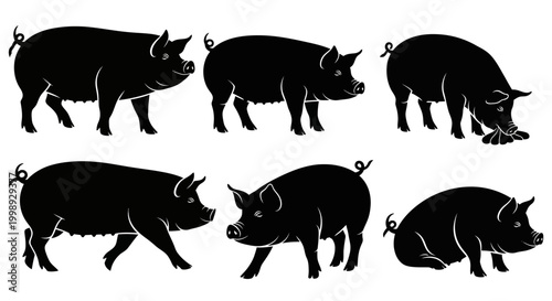 Set of Black Pig Silhouettes in Various Poses