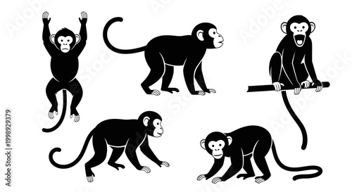 Set of Monkey Silhouettes in Various Poses