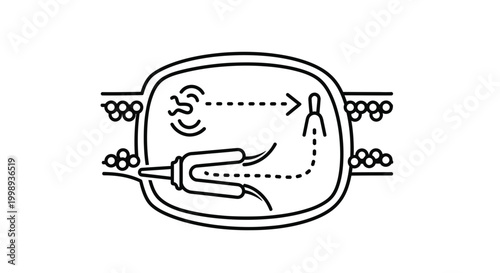 Gene editing technology, CRISPR-Cas9 system, DNA modification, scientific research