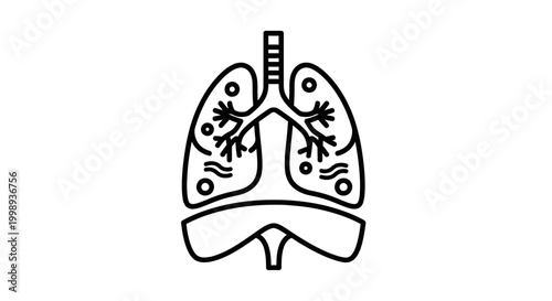 Human Lungs and Diaphragm Outline Icon - Respiratory System Anatomy