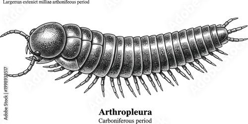 Arthropleura giant millipede illustration, Carboniferous period, extinct arthropod.