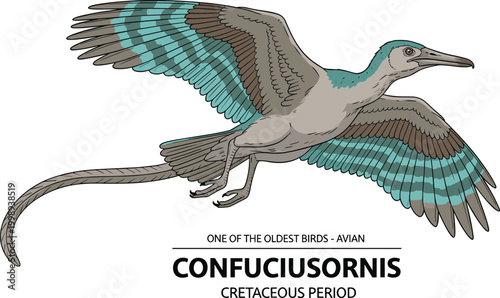 Confuciusornis ancient bird fossil from Cretaceous period prehistoric avian illustration.