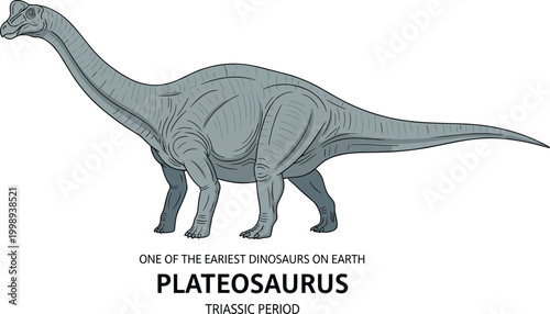 Plateosaurus dinosaur from Triassic period early herbivore fossil illustration.
