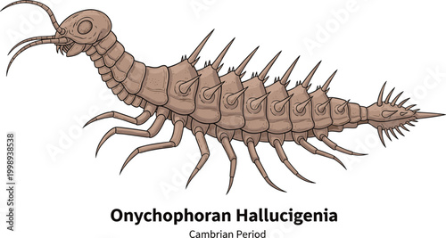 Onychophoran Hallucigenia Cambrian period bizarre ancient creature fossil illustration.