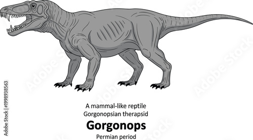 Gorgonops, mammal-like reptile therapsid from Permian period, prehistoric creature illustration.