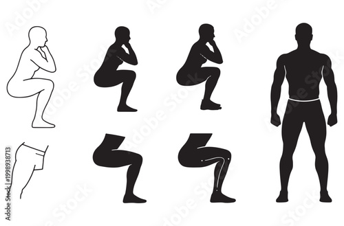 Man squatting exercise silhouettes illustrating proper gym workout form and male anatomy for fitness training manuals athletic performance tracking and bodybuilding health programs