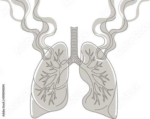A subtle line art illustration of human lungs with delicate tendrils of smoke lightly intertwined within their structure, set against a soft, light background.